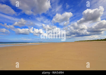 Bamburgh beach, a big sky of cumulus clouds and an expanse of sandy beach from off the Northumberland Coastal Path, Bamburgh, Northumberland, England. Stock Photo