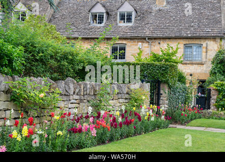 Antirrhinum. Snap dragon flowers along a cottage wall in Broadway, Cotswolds, Worcestershire, England Stock Photo