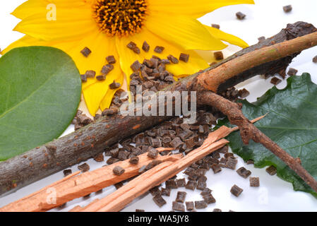 bio polymer in laboratory Stock Photo