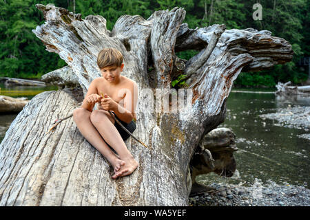 10 years old young boy at the campsite, sitting on a fallen tree trunk, and focusing on to carving a wooden stick for the grill with a small pocket kn Stock Photo