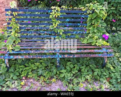 Beautiful old rusty bench with flaking blue paint completely overgrown with creepers and pretty flowers in the countryside on Greek island of Corfu Stock Photo