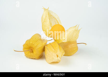 Cape gooseberry (physalis) isolated on white background Stock Photo