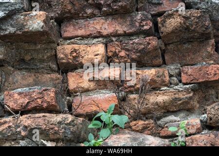 cracked concrete old brick wall. Stock Photo