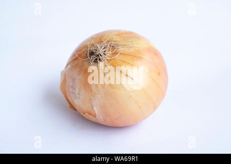 fresh bulbs of onion on a white background Stock Photo