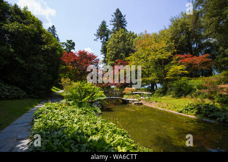 BELLAGIO, ITALY, JUNE 19, 2019 - View of Gardens of Villa Melzi in the village of Bellagio on Como lake, Italy Stock Photo