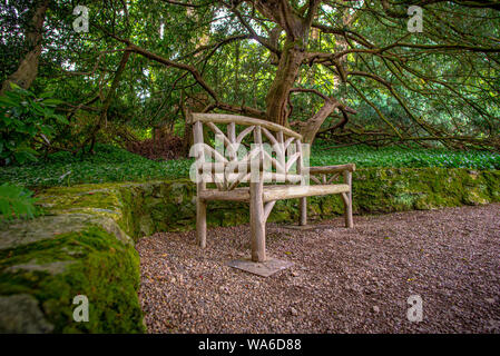 Rustic wooden bench underneath trees canopy with small stone retaining wall covered with ivy. Stock Photo