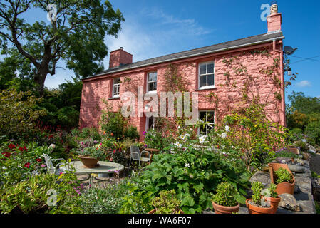 Fishguard, Wales, UK - Aug 12, 2019: Slightly side view of the pink cottage of the Dyffryn Fernant Garden Stock Photo