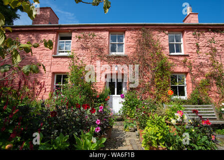 Fishguard, Wales, UK - Aug 12, 2019: Frontal view of the pink cottage of the Dyffryn Fernant Garden Stock Photo