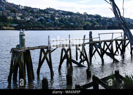 Old Wharf in disrepair at Riverbend Park on Tamar River, Launceston Tasmania, Australia Stock Photo