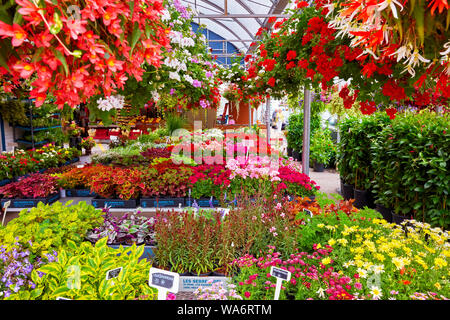 Colorful flowers in a flower shop at Atwater market in Montreal, Quebec, Canada. Stock Photo