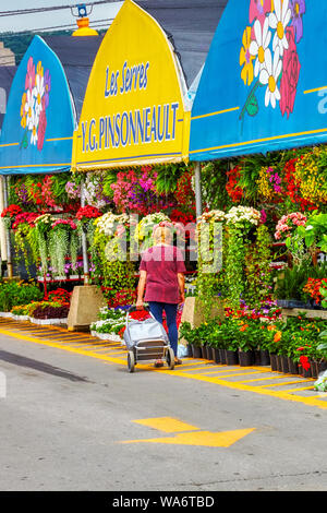 Elder Canadian woman looking at the flowers at the greenhouse flower shops at Atwater market in Montreal, Quebec, Canada Stock Photo