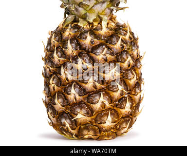 ripe pineapple close up on white background Stock Photo