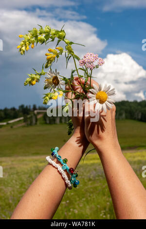 Female hands with multi-colored homemade bracelets hold daisies against the background of the field and the sky with clouds on a sunny day. On the fie Stock Photo