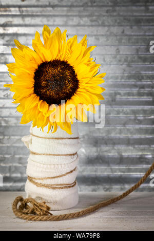 Single sunflower in a vase on rustic background Stock Photo