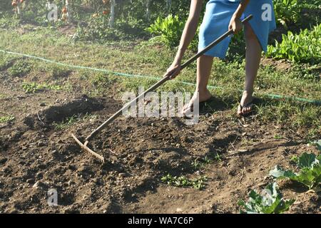 Shot of a female working on soil in the farm Stock Photo