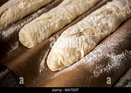 dough for baguettes in a perforated baking pan ready for baking Stock Photo
