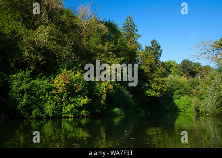 Luckiamute River, Luckiamute Landing State Park, Oregon Stock Photo