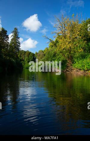 Luckiamute River, Luckiamute Landing State Park, Oregon Stock Photo