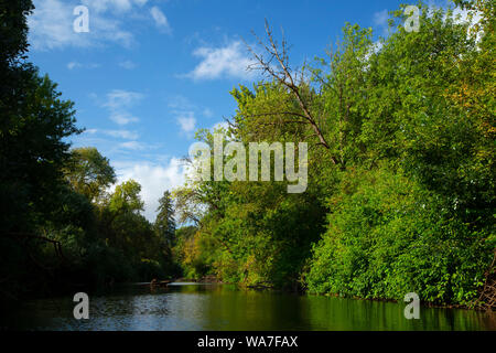 Luckiamute River, Luckiamute Landing State Park, Oregon Stock Photo