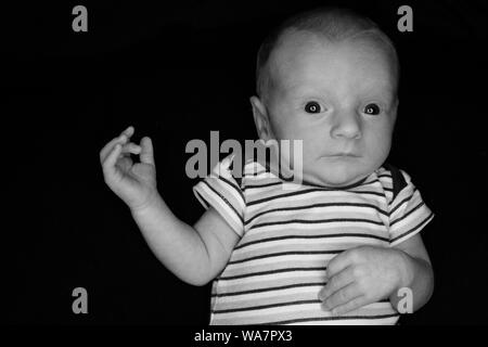 A 3 Week Old Baby Poses on a Black Background. Perfect for Memes with Copy Space. Stock Photo