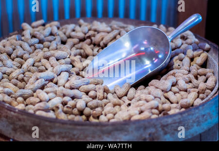 Barrel filled with roasted peanuts are scooped out and served to waiting guests at a popular restaurant Stock Photo