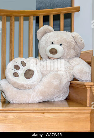 bear lounging on a stair case at home Stock Photo