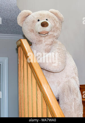 big bear on a wooden stair case Stock Photo