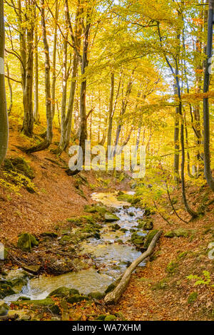 Autumn landscape with golden trees and a small rustic shack in Serra da ...