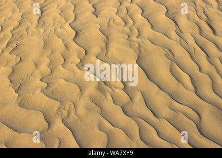 Amazingly fine particles of Sahara desert golden sand creating a seamless pattern of miniature dunes created by wind Stock Photo