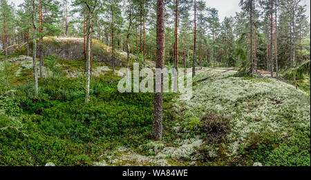 In the woods with large rocks Stock Photo