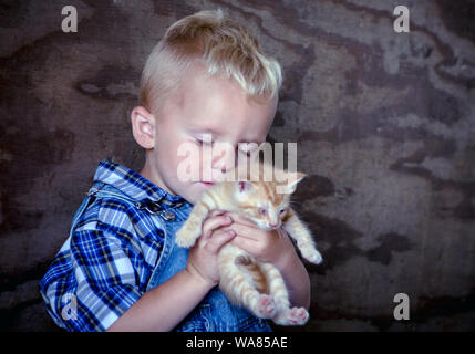 Child hugging a kitten Stock Photo