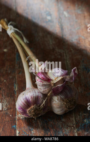 Garlic Bulbs Stock Photo