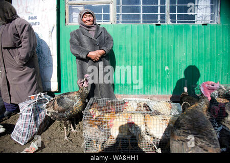 Kyrgyz Republic Travel Images - animal market of Karakol - Old woman sells peacock Stock Photo