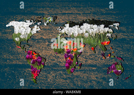 Roughly outlined world map with white background Stock Photo