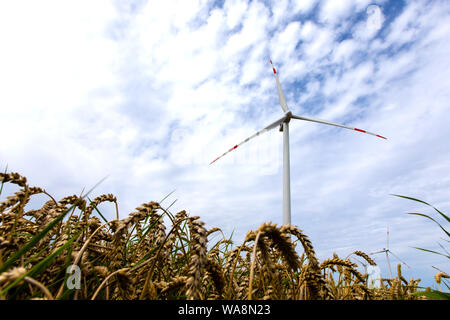 09 August 2019, Schleswig-Holstein, Husum: Windmills with special obstacle markings are located on the Bundestraße 203 between Heide and Büsum. (to dpa 'Warning stripes on windmill wings do not save birds') Photo: Frank Molter/dpa Stock Photo