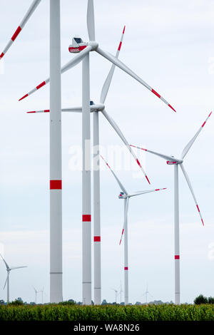 09 August 2019, Schleswig-Holstein, Husum: Windmills with special obstacle markings are located on the Bundestraße 203 between Heide and Büsum. (to dpa 'Warning stripes on windmill wings do not save birds') Photo: Frank Molter/dpa Stock Photo