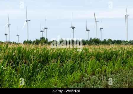 09 August 2019, Schleswig-Holstein, Husum: Windmills with special obstacle markings are located on the Bundestraße 203 between Heide and Büsum. (to dpa 'Warning stripes on windmill wings do not save birds') Photo: Frank Molter/dpa Stock Photo