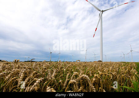 09 August 2019, Schleswig-Holstein, Husum: Windmills with special obstacle markings are located on the Bundestraße 203 between Heide and Büsum. Photo: Frank Molter/dpa Stock Photo