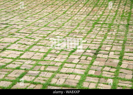 walkway with grass growing between the stones. Stock Photo