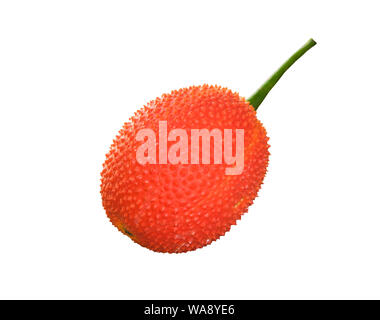 Gac fruit on white background Stock Photo