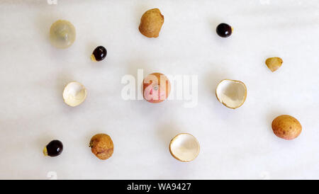 Flat lay of longan fruits, skins and seeds scattered on a marble surface. Longan is an edible tropical fruit. Stock Photo