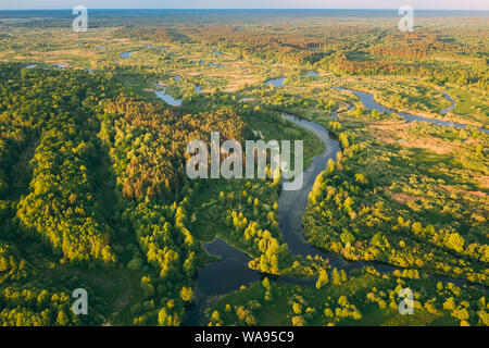 Aerial View Green Forest Woods And River Landscape In Sunny Spring Evening. Top View Of Beautiful European Nature From High Attitude In Summer Season. Stock Photo