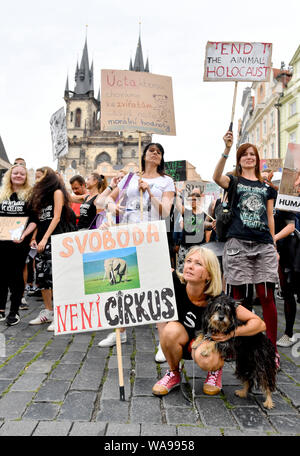 The Official Animal Rights March, the annual vegan march simultaneously held in dozens of cities all over the world, also took place in Prague, Czech Republic, for the first time on August 17, 2019. Hundreds of people protested against human violence against animals. There were very many young people among the participants. The two-hour march started in the Lesser Town, walked a bridge across the Vltava River to Old Town Square and the Wenceslas Square where addresses were delivered. The participants carried banners and chanted slogans supporting animal rights. (CTK Photo/Vit Simanek) Stock Photo