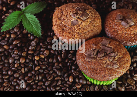 Three coffee chocolate muffins on a background of coffee beans with a green sprig. Close up. Stock Photo