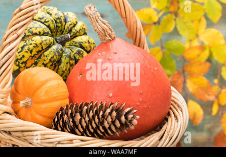 autumn decoration with pumpkin and leaves Stock Photo