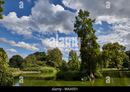 Tranquil scene of a lake and trees on a bright summer’s day. Stock Photo