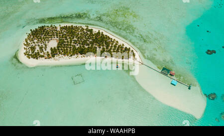 Tropical island with palm trees and a beach, top view. Onok Islan, Balabac, Philippines. Summer and travel vacation concept Stock Photo