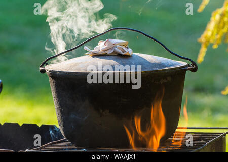 Cooking in the nature. Cauldron on fire in forest Stock Photo