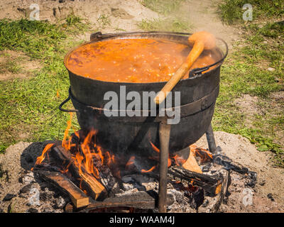 Gulyas Stew Boiling in a Cauldron with Wood Fire Stock Photo