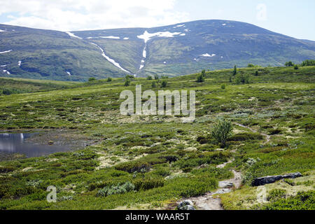Lake in Dovre national park in Norway Stock Photo